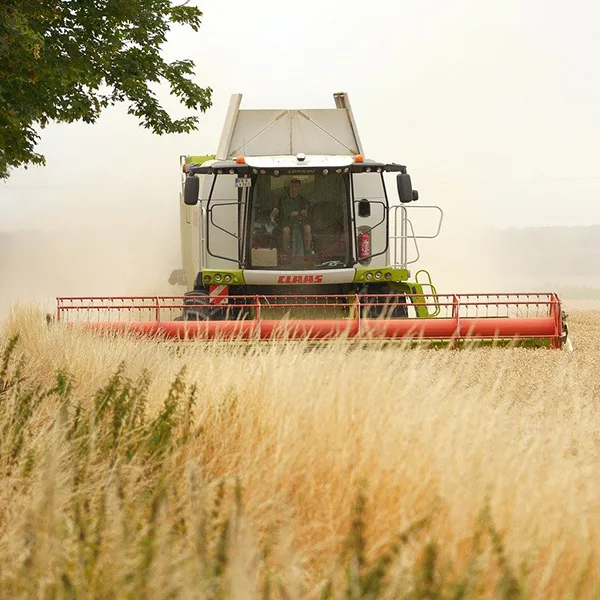 Agricultura-2
