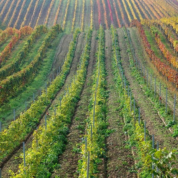 Agricultura