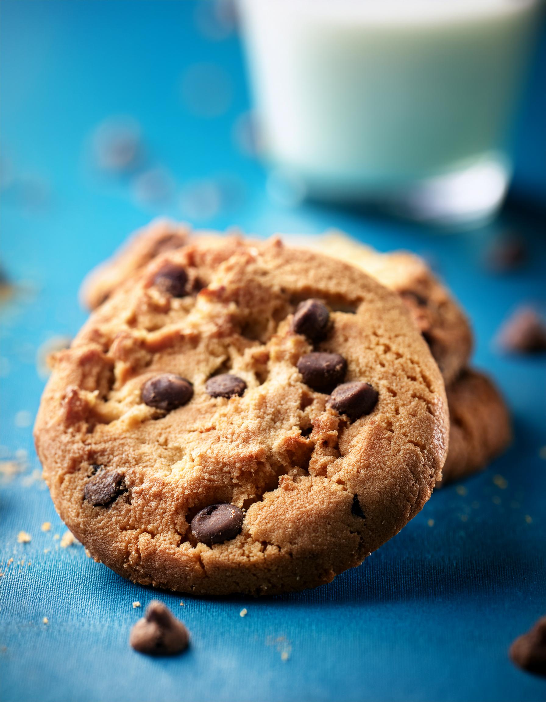 Firefly chocolate chip cookie with blue background; selective focus 43126